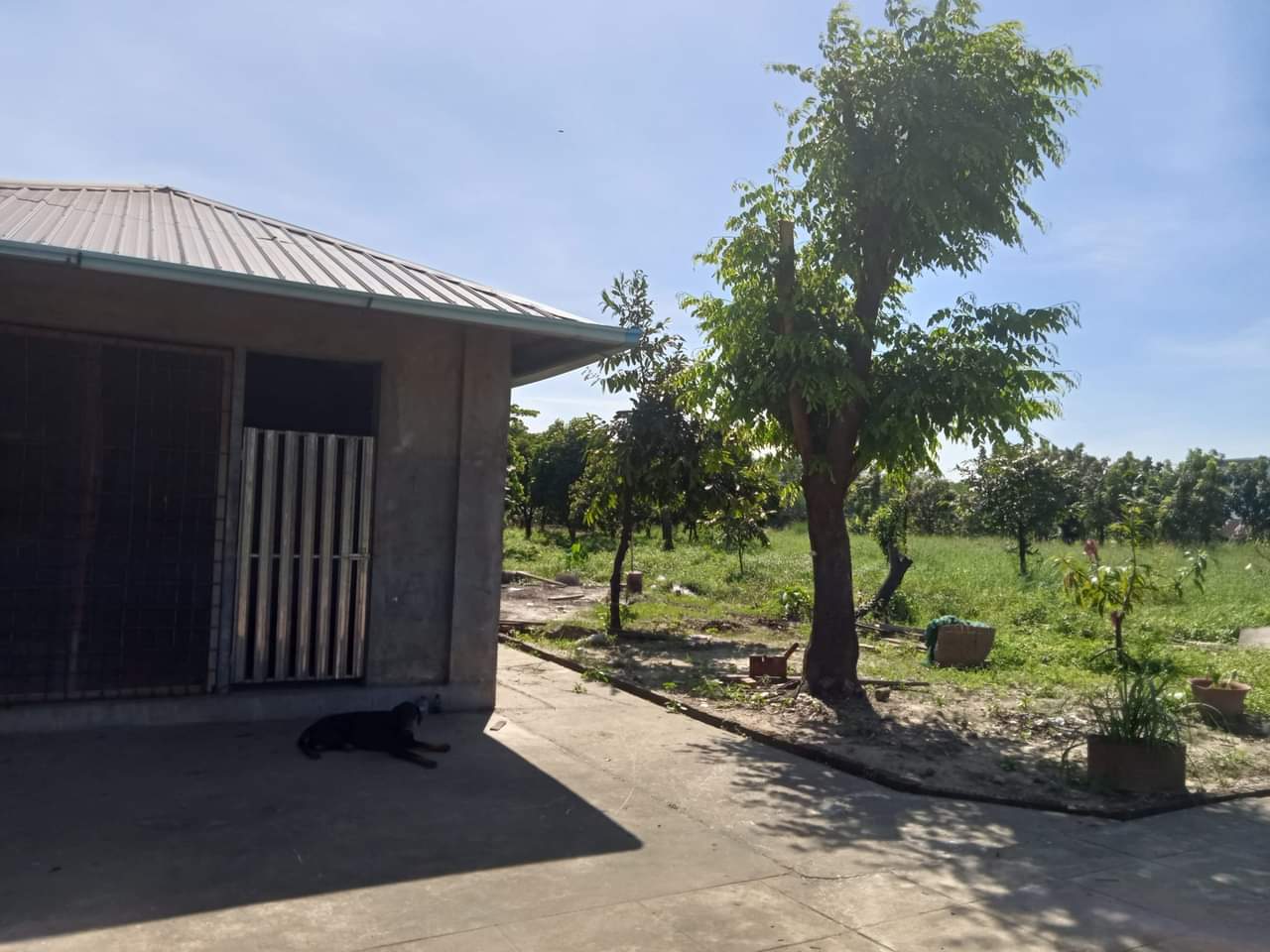 ဒဂုံဆိပ်ကမ်းမြို့နယ်၊မြေ+ဂိုဒေါင်အငှား