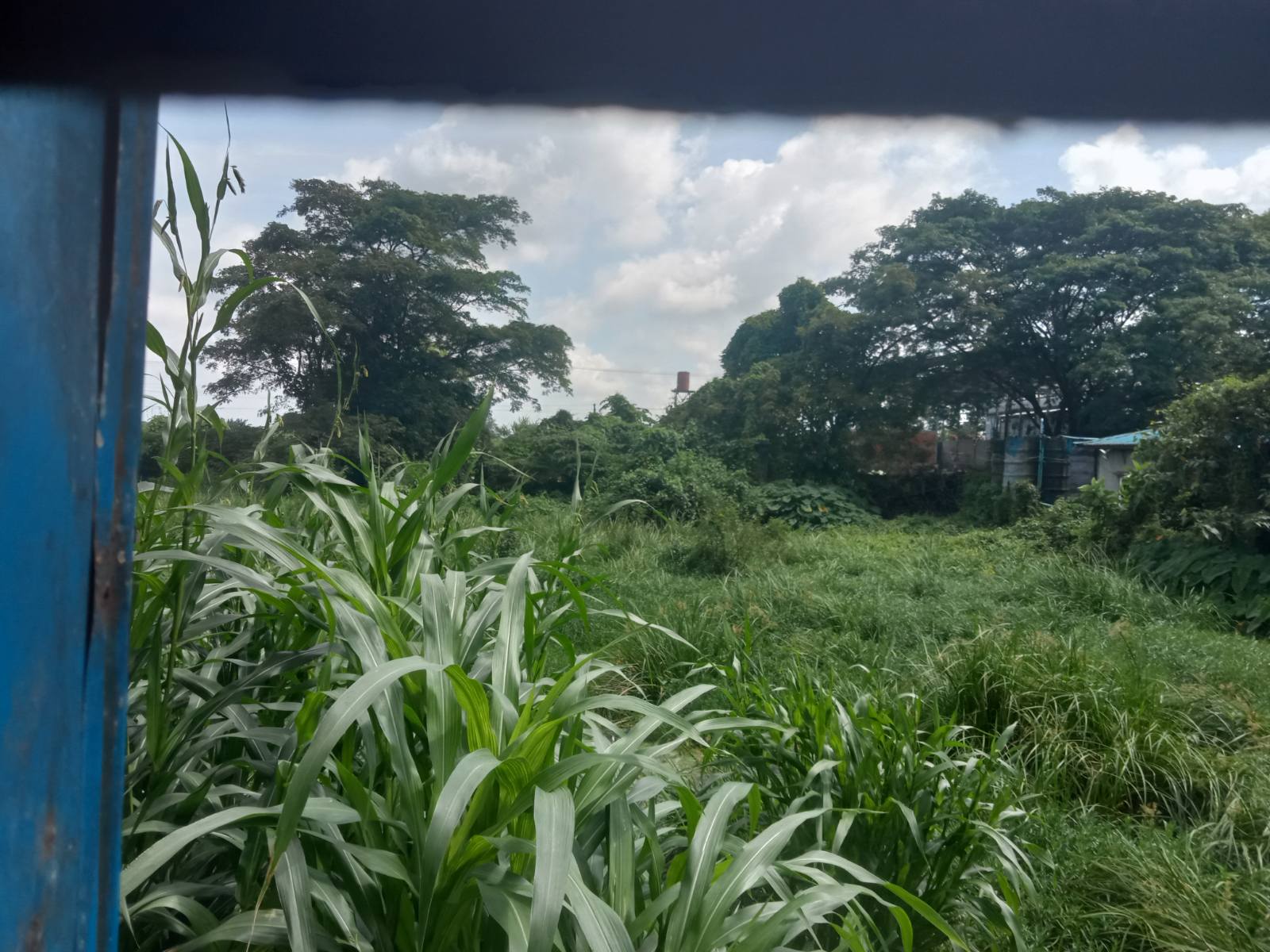 ဒဂုံဆိပ်ကမ်းမြို့နယ်၊မြေကွက်အရောင်း