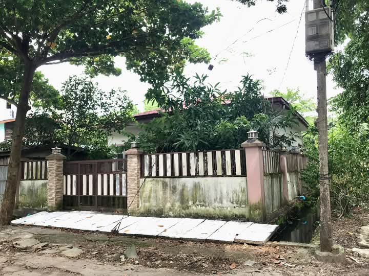 မြောက်ဒဂုံမြို့နယ်၊ ပင်လုံလမ်းမအနီး၊ လုံးချင်းအိမ်အရောင်း