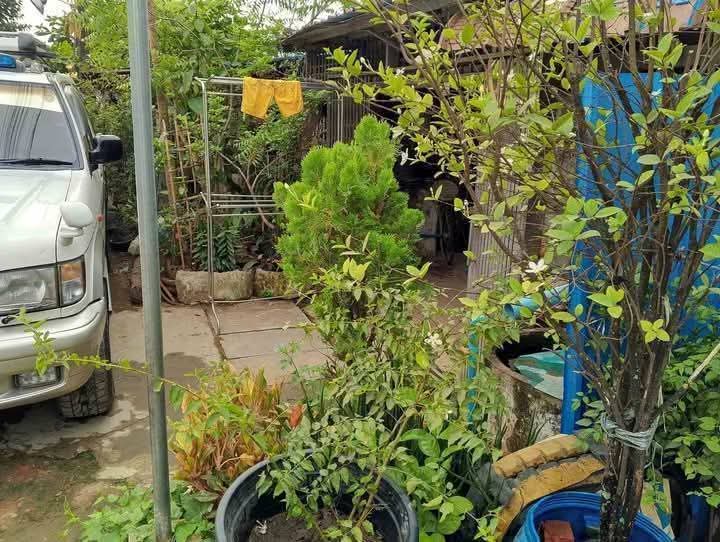 တောင်ဒဂုံမြို့နယ် လုံးချင်းအရောင်း