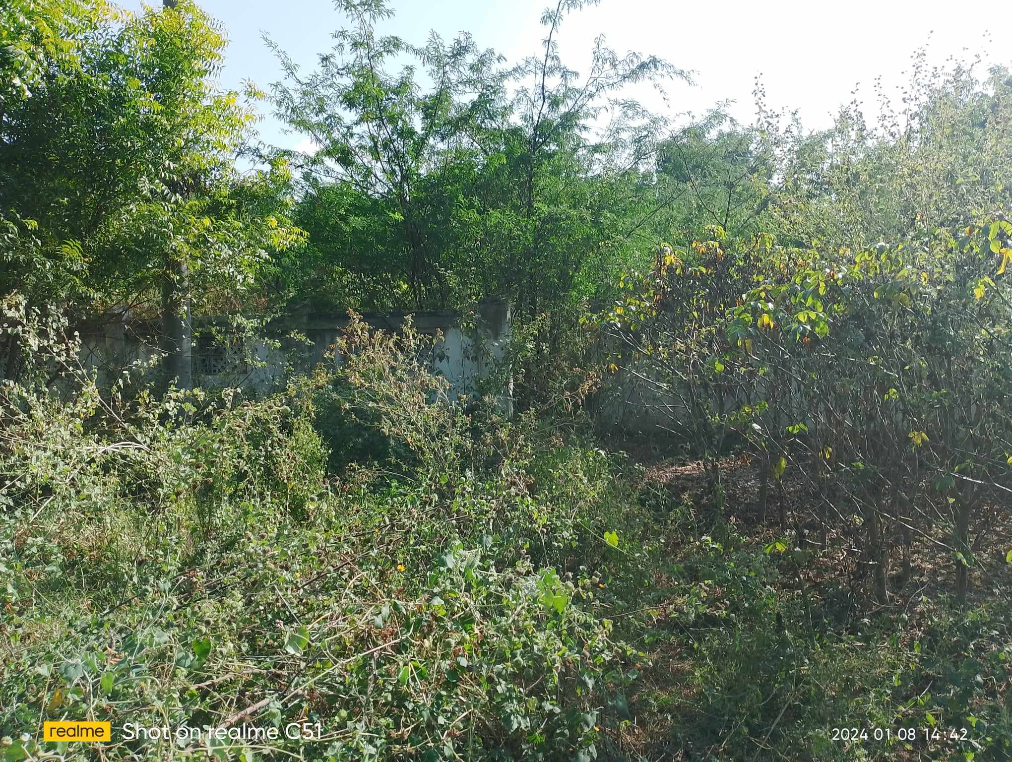 ပုဂံမြို့သစ်