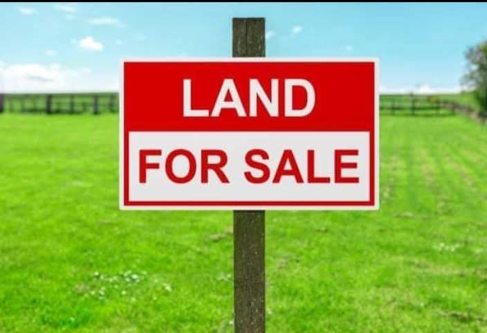 ရန်ကင်းမြို့နယ်