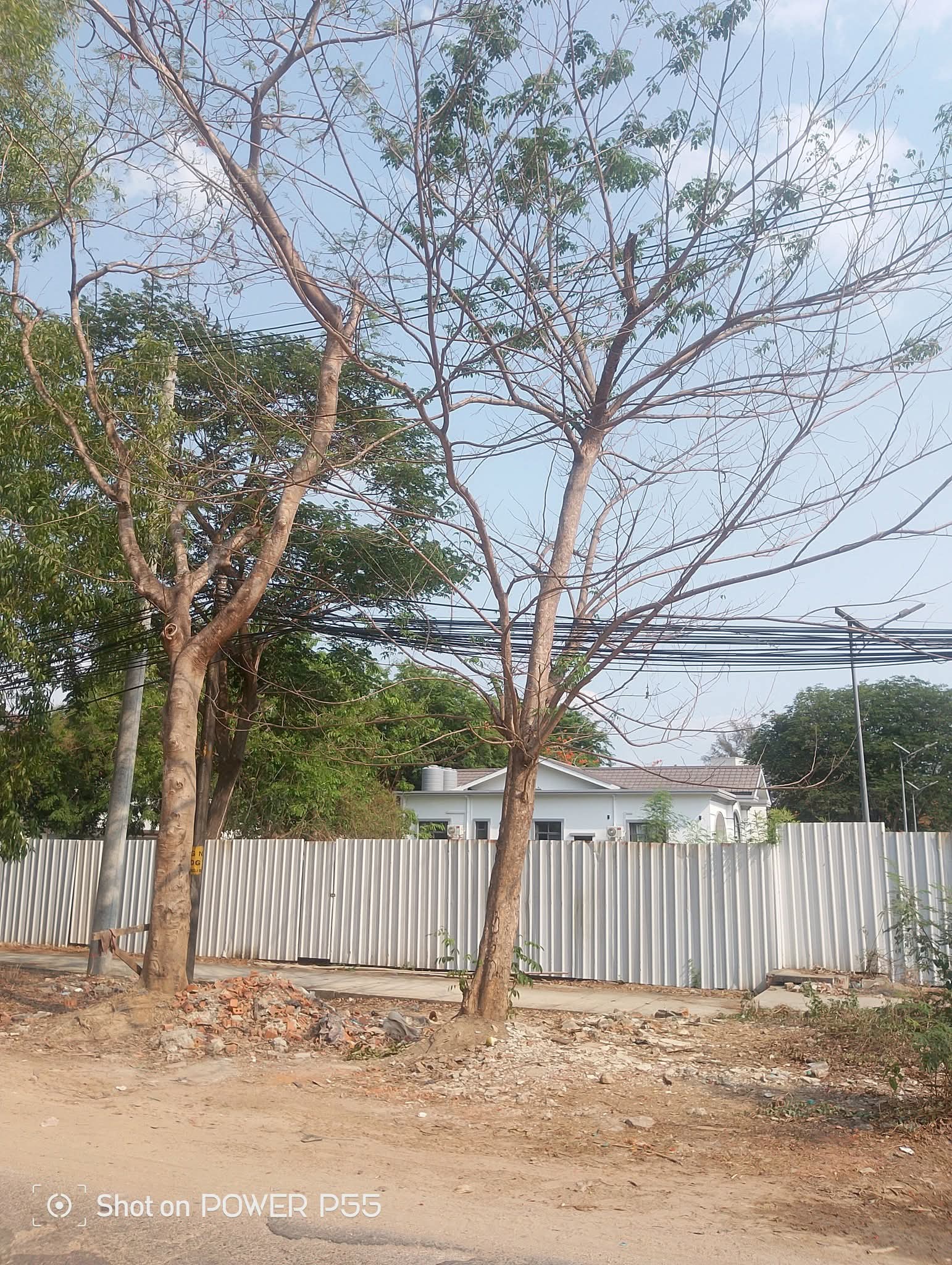မြောက်ဒဂုံမြေကွက်အရောင်း