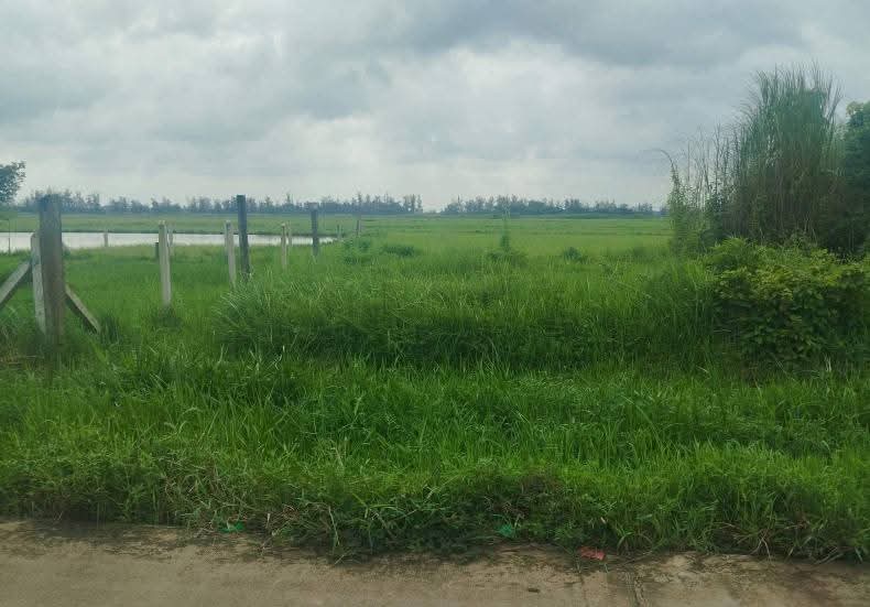 မင်္ဂလာဒုံမြို့နယ်