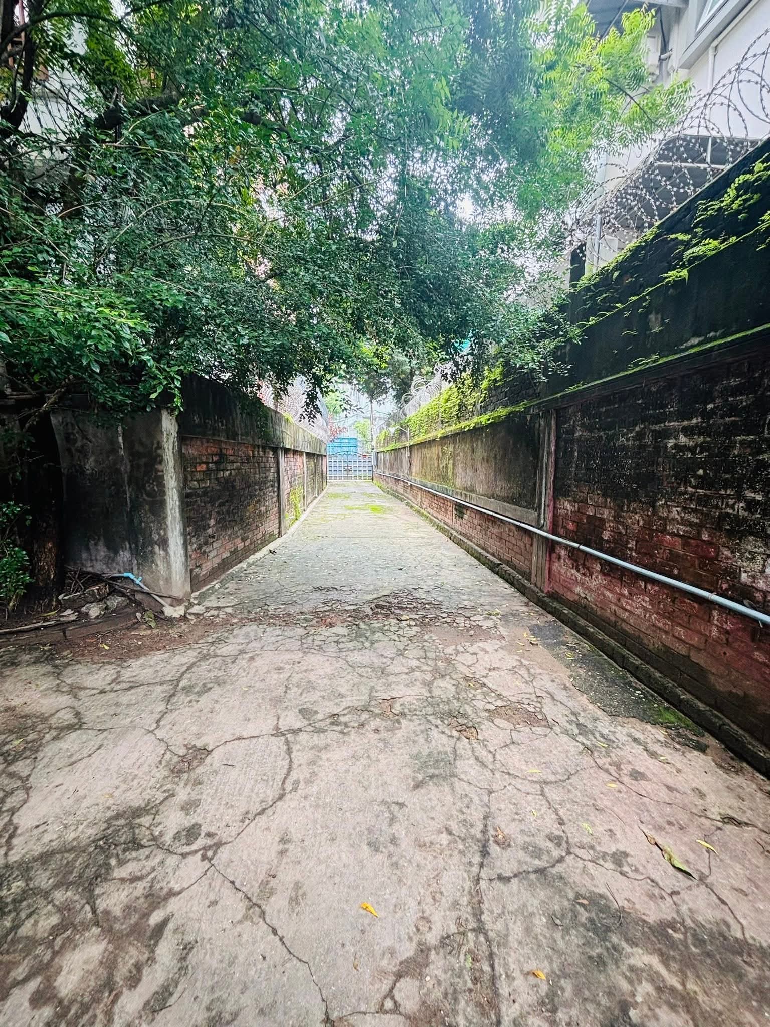 မရမ်းကုန်းမြို့နယ်လုံးချငါးအိမ်အရောင်း