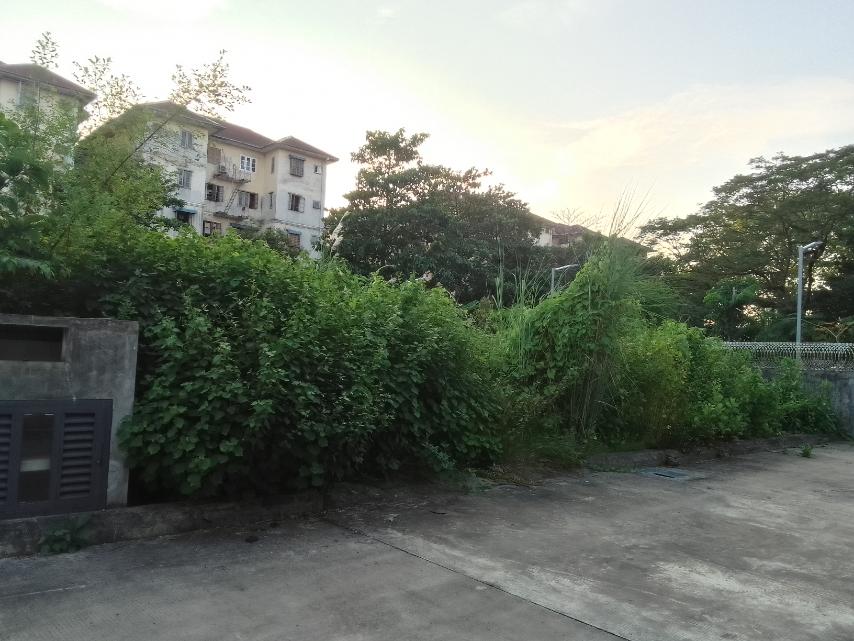 သင်္ဃန်းကျွန်းမြို့နယ်၊ မြေကွက်အရောင်း