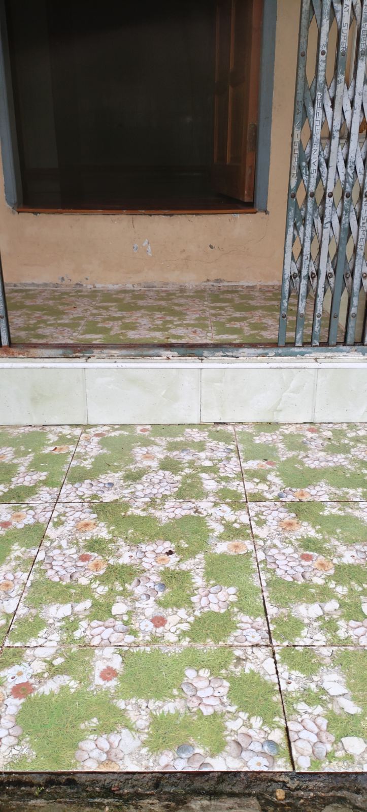 သာကေတမြို့နယ်၊ မြေညီထပ်အရောင်း