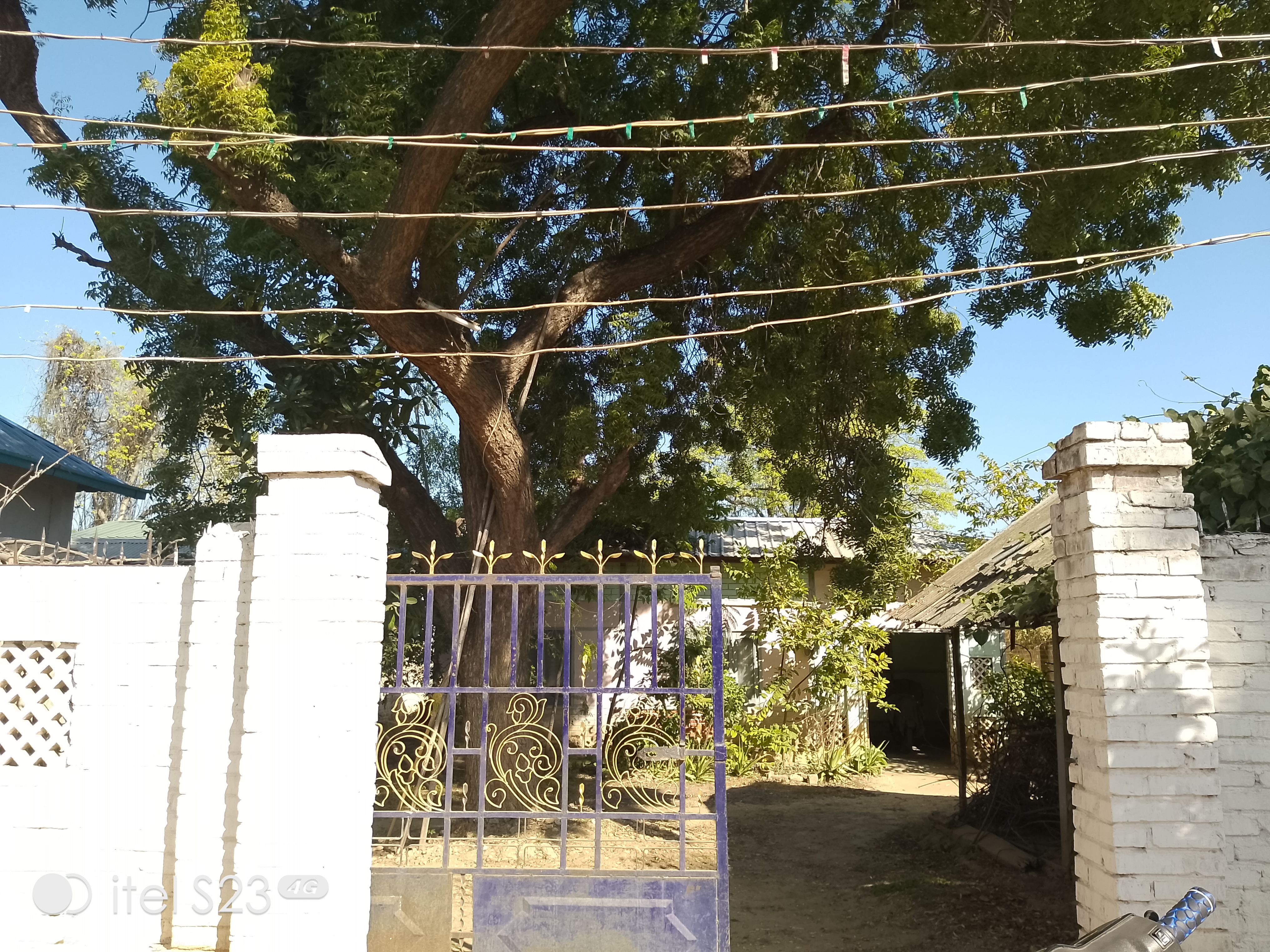 ညောင်ဦးမြို့