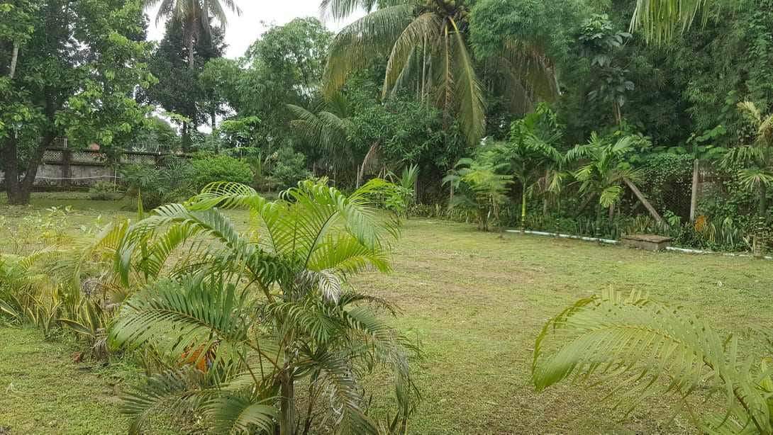 ရွှေပြည််သာမြို့နယ်၊မြေကွက်အရောင်း